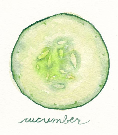 474x541 cucumber slice food illustration kitchen decor hand lettering - Cucumber Slice Drawing