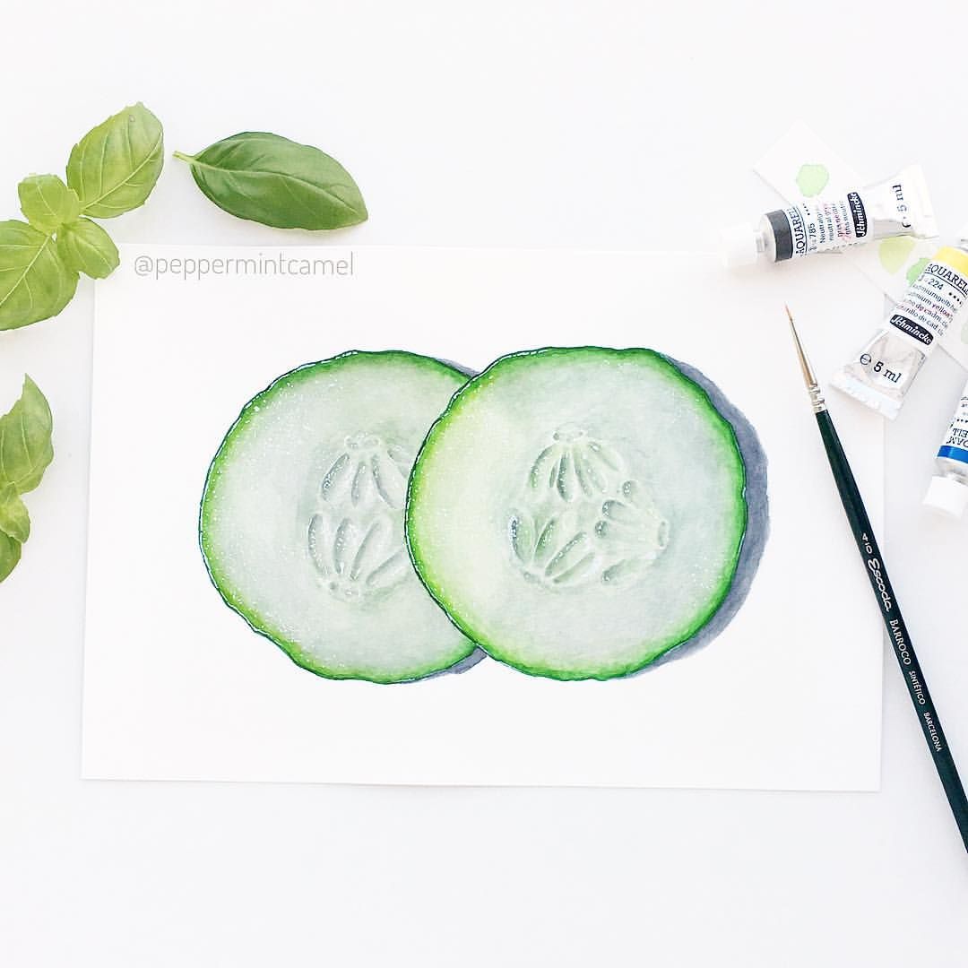 1080x1080 cucumber i don't know why, but i find it really - Cucumber Slice Drawing