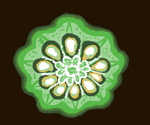 300x250 close up of a cucumber slice drawing - Cucumber Slice Drawing