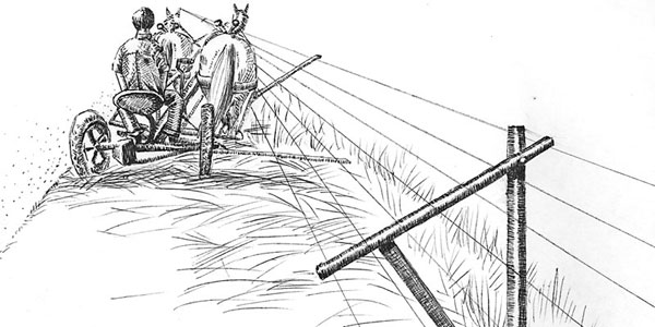 600x300 cultivating questions cultivator set ups and deer fencing small - Cultivator Drawing