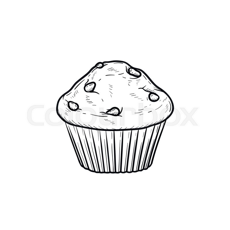 800x800 Muffin Hand Drawn Outline Doodle Icon Stock Vector Colourbox - Cupcake Drawing Outline
