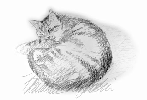 500x342 found artwork, a sketch of stanley the creative cat - Curled Up Cat Drawing