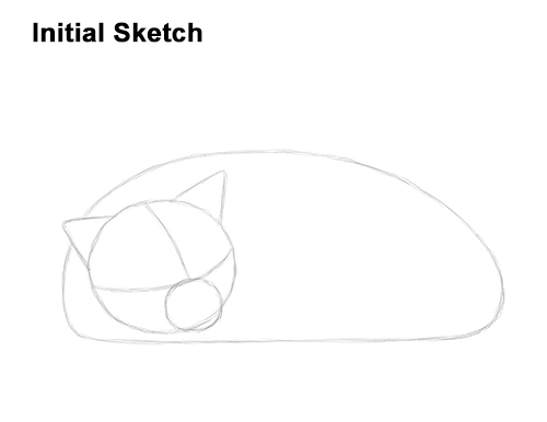 500x386 how to draw a cat sleeping video step - Curled Up Cat Drawing