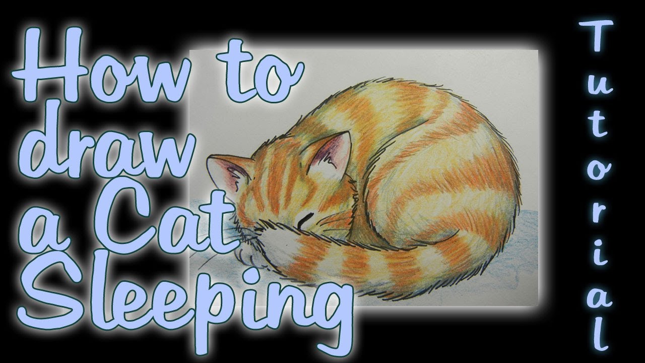 1280x720 how to draw a cat sleeping - Curled Up Cat Drawing