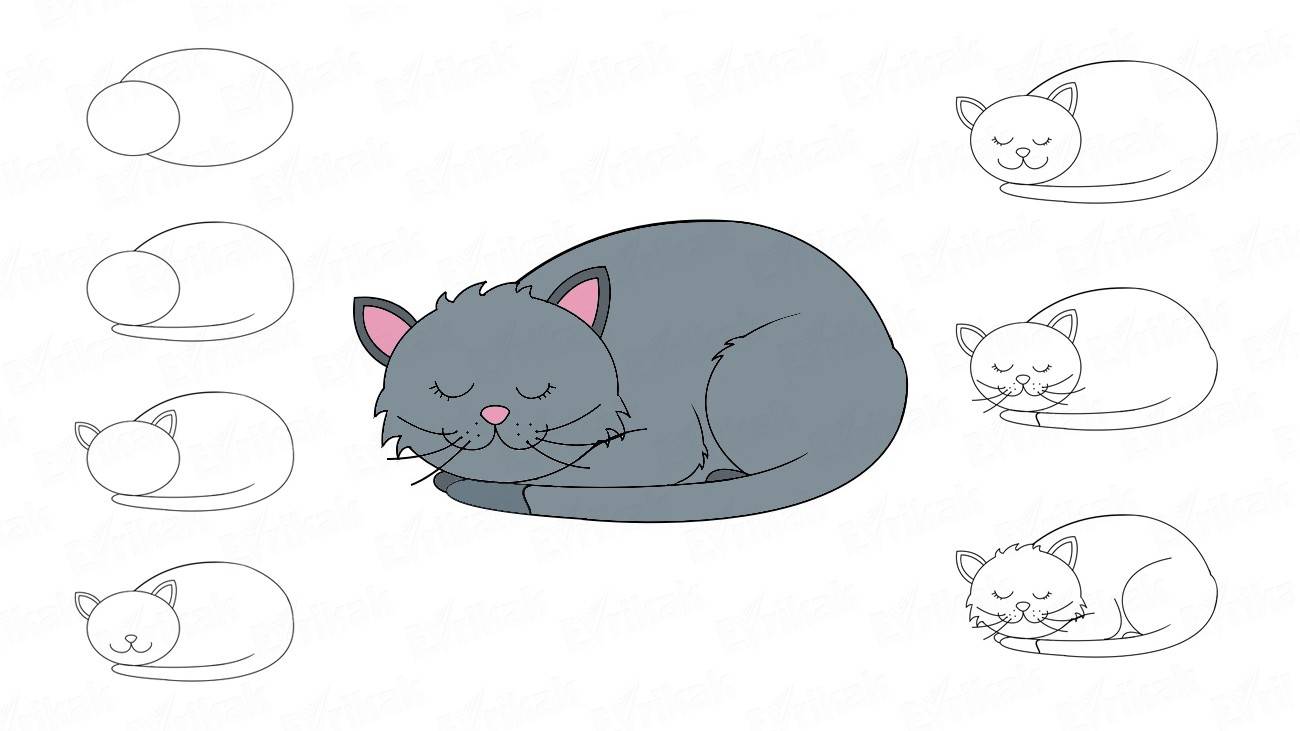 Curled Up Cat Drawing at Explore collection of