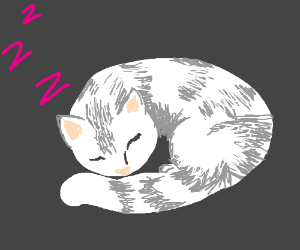 300x250 sleeping curled up cat drawing - Curled Up Cat Drawing
