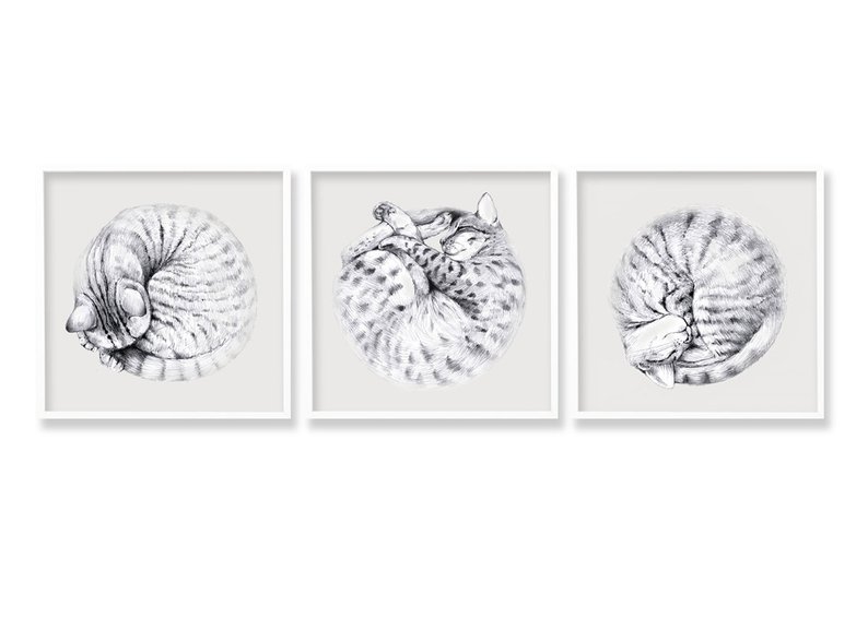 794x566 three cats drawing pencil black and white tabby cat art etsy - Curled Up Cat Drawing