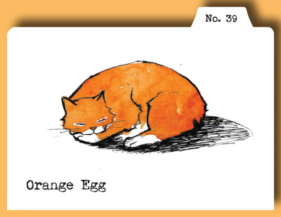 400x309 cat curled up tumblr - Curled Up Cat Drawing