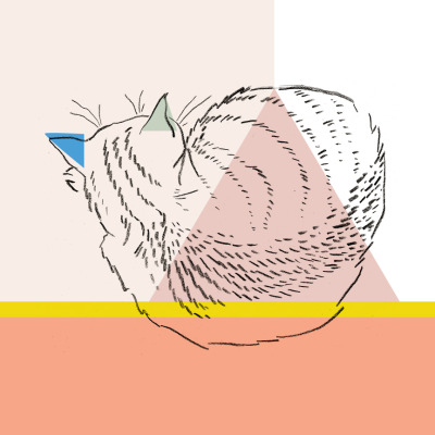 400x400 cat drawing tumblr - Curled Up Cat Drawing