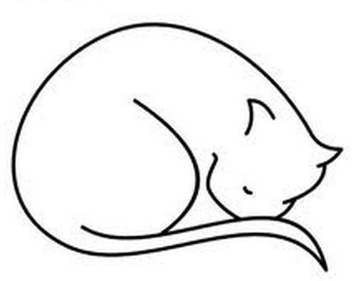 495x396 curled up kitty nose tucked into tail drawings cat - Curled Up Cat Drawing