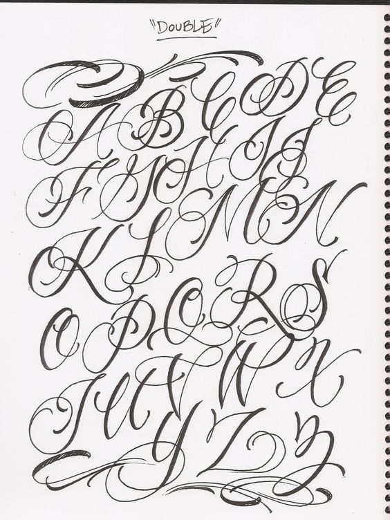564x752 leo drawing cursive for free download - Cursive Drawing