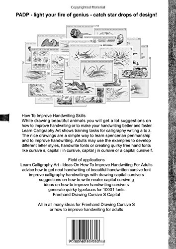 354x500 padp script learn calligraphy art - Cursive Drawing