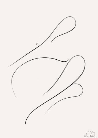 339x479 Drawings Tagged Drawing Caroline Walls - Curved Feather Drawing