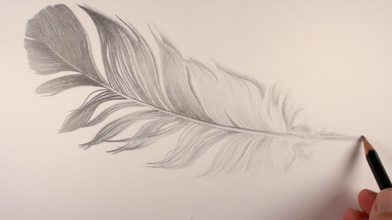 800x450 How To Draw A Feather - Curved Feather Drawing