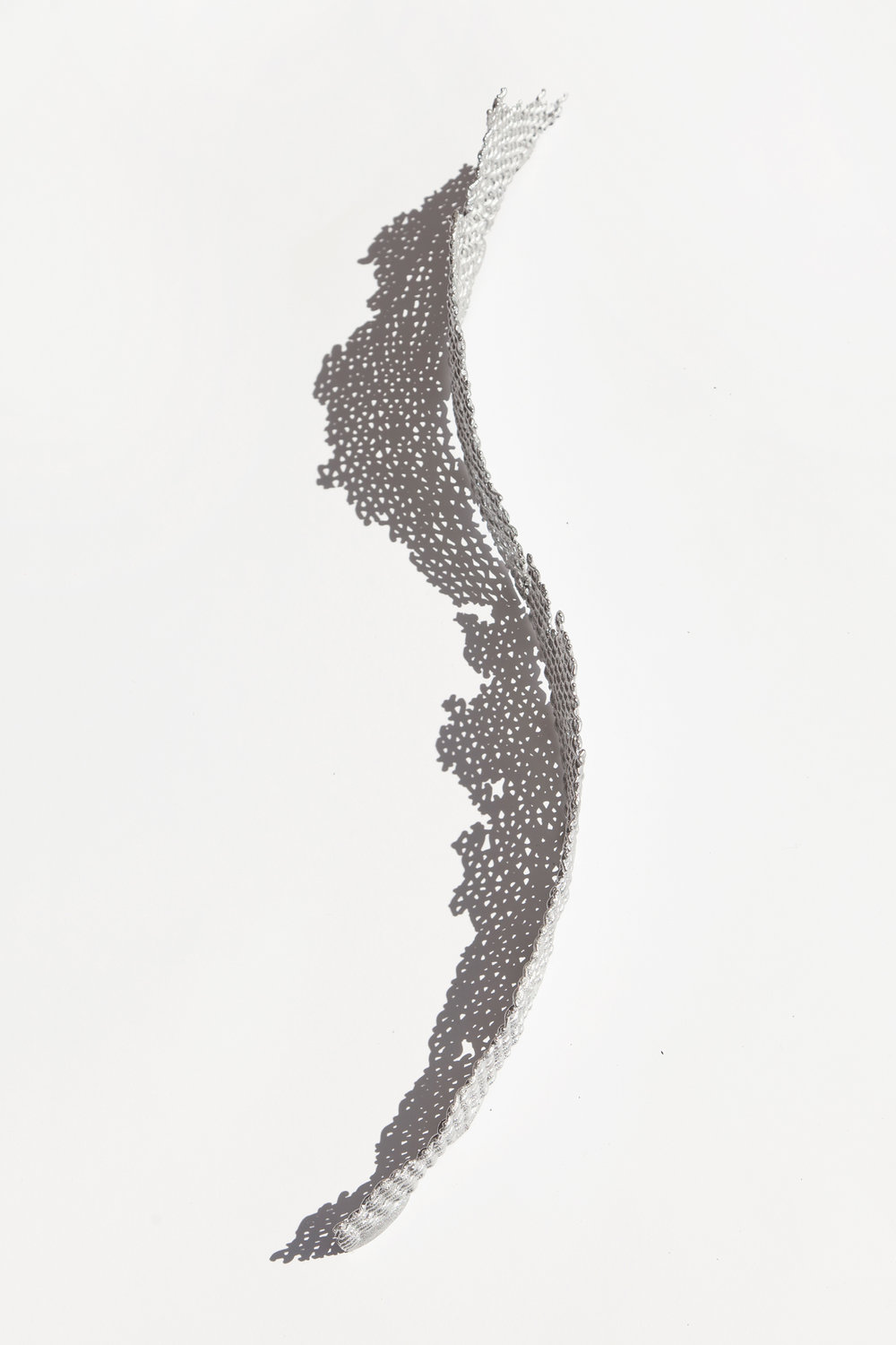 1000x1500 aluminum curved cast form mimi jung - Curved Feather Drawing
