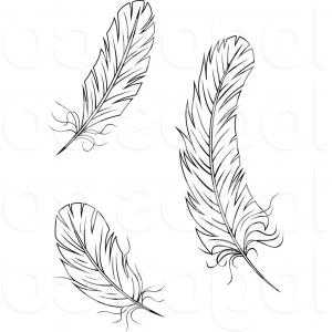 300x300 Black And White Large Curved Feather Vector Soidergi - Curved Feather Drawing
