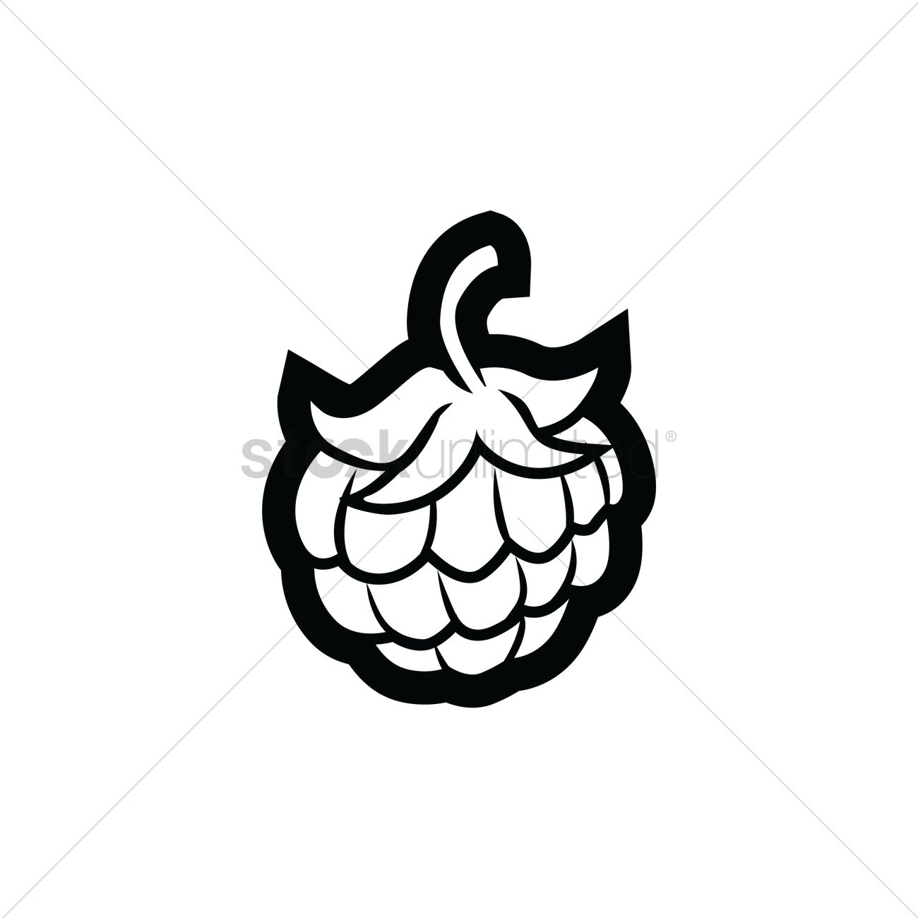 1300x1300 Custard Apple Vector Image - Custard Apple Drawing