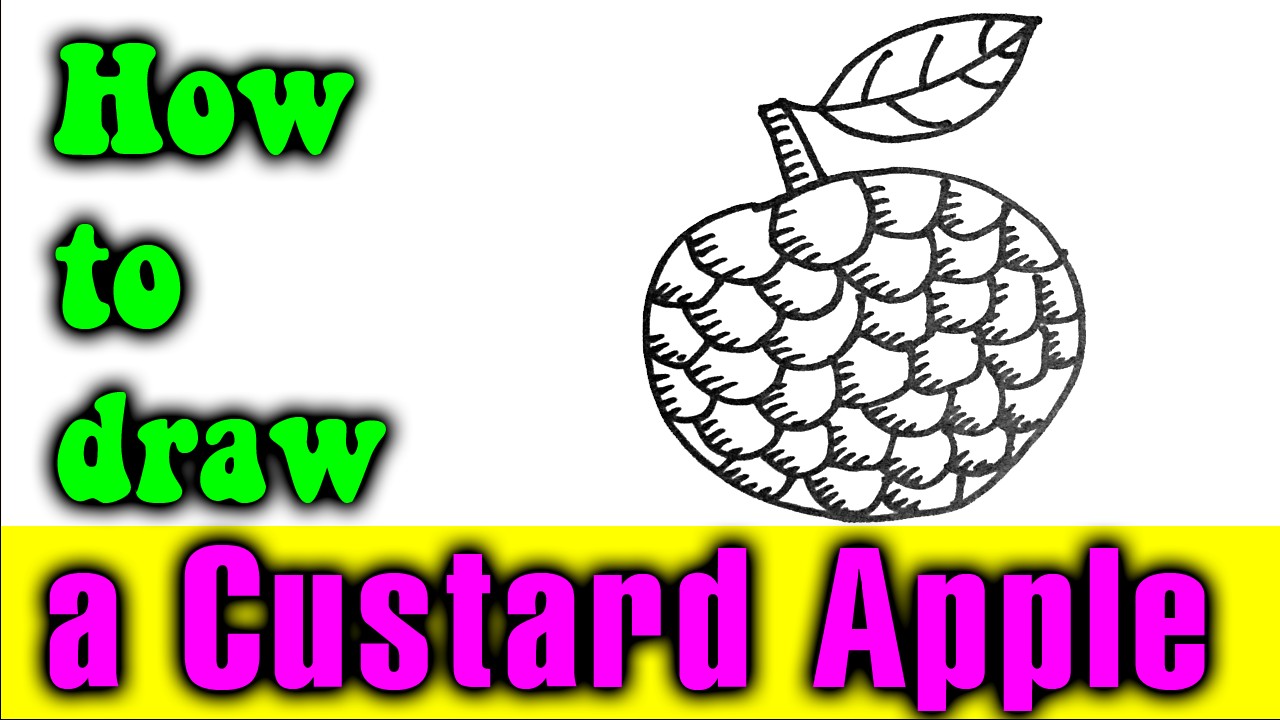 1280x720 How To Draw A Custard Apple Easy For Kid - Custard Apple Drawing