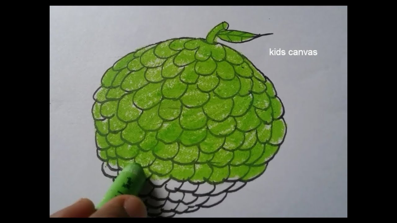1280x720 How To Draw Fruit Custard Applevery Easy Drawing For Kids - Custard Apple Drawing