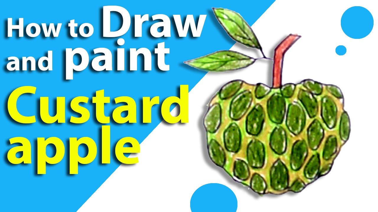 1280x720 Learn How To Draw A Custard Apple Kids Drawings Drawing Fruits - Custard Apple Drawing