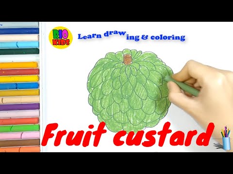 480x360 Learn Drawing And Coloring Fruit Custard How To Teach Baby - Custard Apple Drawing