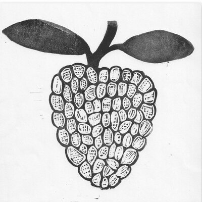 400x400 The Custard Apple - Custard Apple Drawing