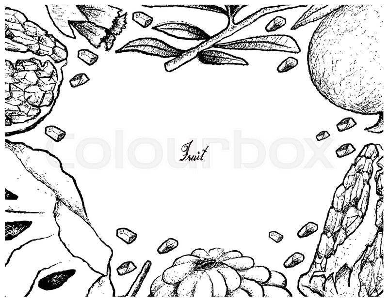 800x622 Tropical Fruit, Illustration Hand Stock Vector Colourbox - Custard Apple Drawing