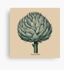 210x230 Custard Apple Drawing Canvas Prints Redbubble - Custard Apple Drawing