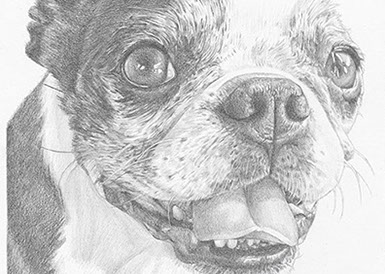 385x274 Custom Drawings - Custom Drawings