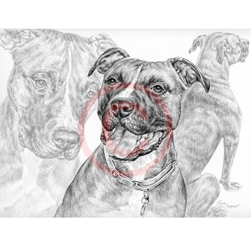 850x850 Custom Pencil Drawings And Portraits - Custom Drawings