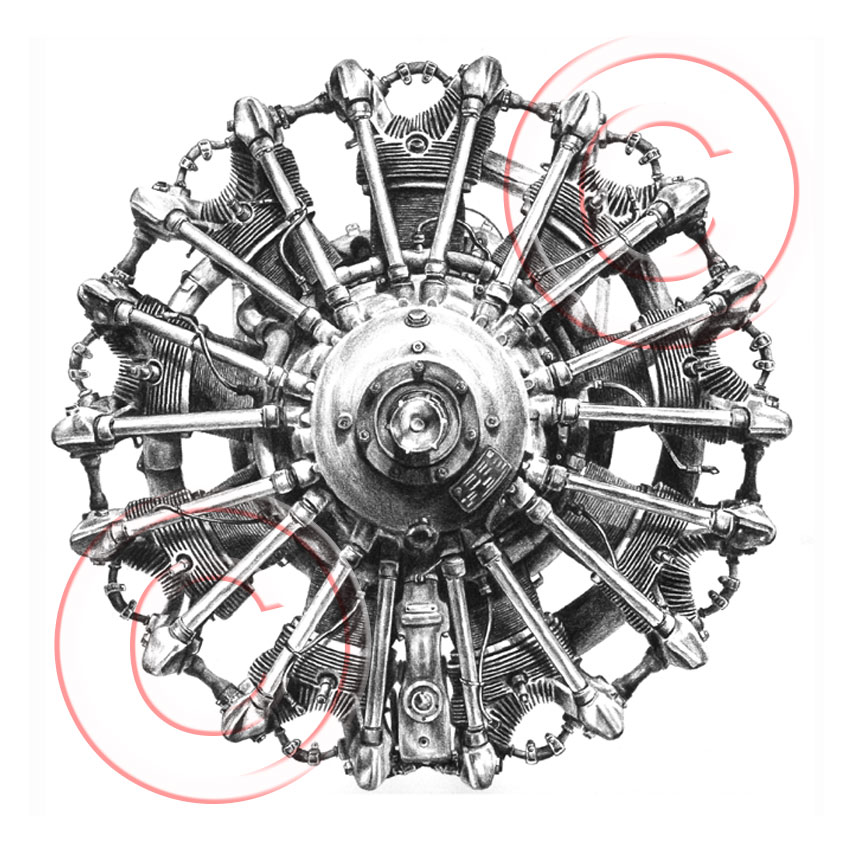 850x850 Pencil Artist Kelli Swan Custom Portraits In Black White Pets - Custom Drawings