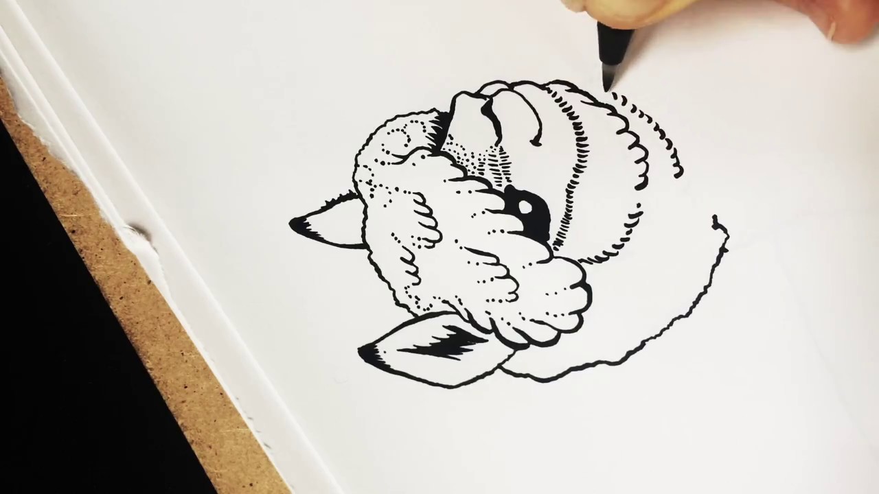 1280x720 cute alpaca drawing timelapse art brush pen - Cute Alpaca Drawing