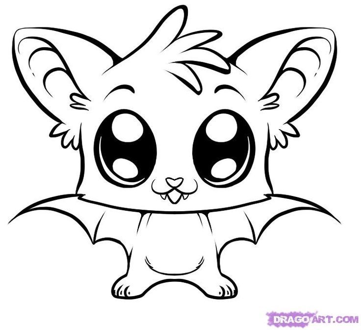 736x672 cute animal drawings easy image result for cute animal drawings - Cute Animal Drawing Ideas