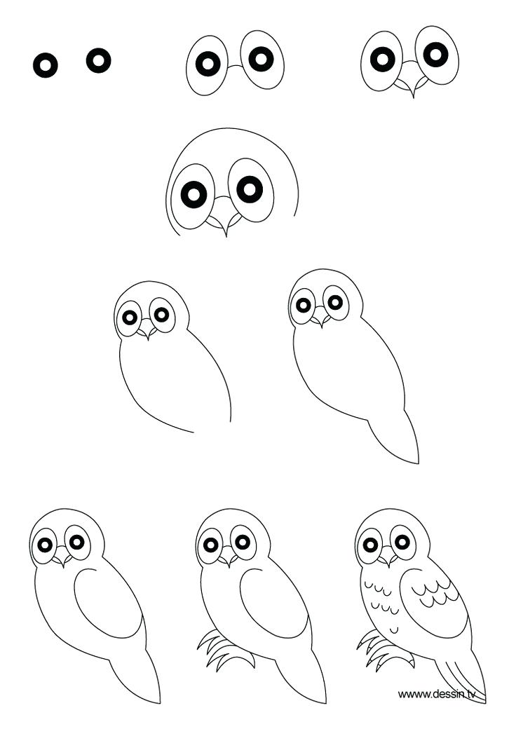 736x1040 How To Draw Cute Animals Step - Cute Animal Drawing Ideas