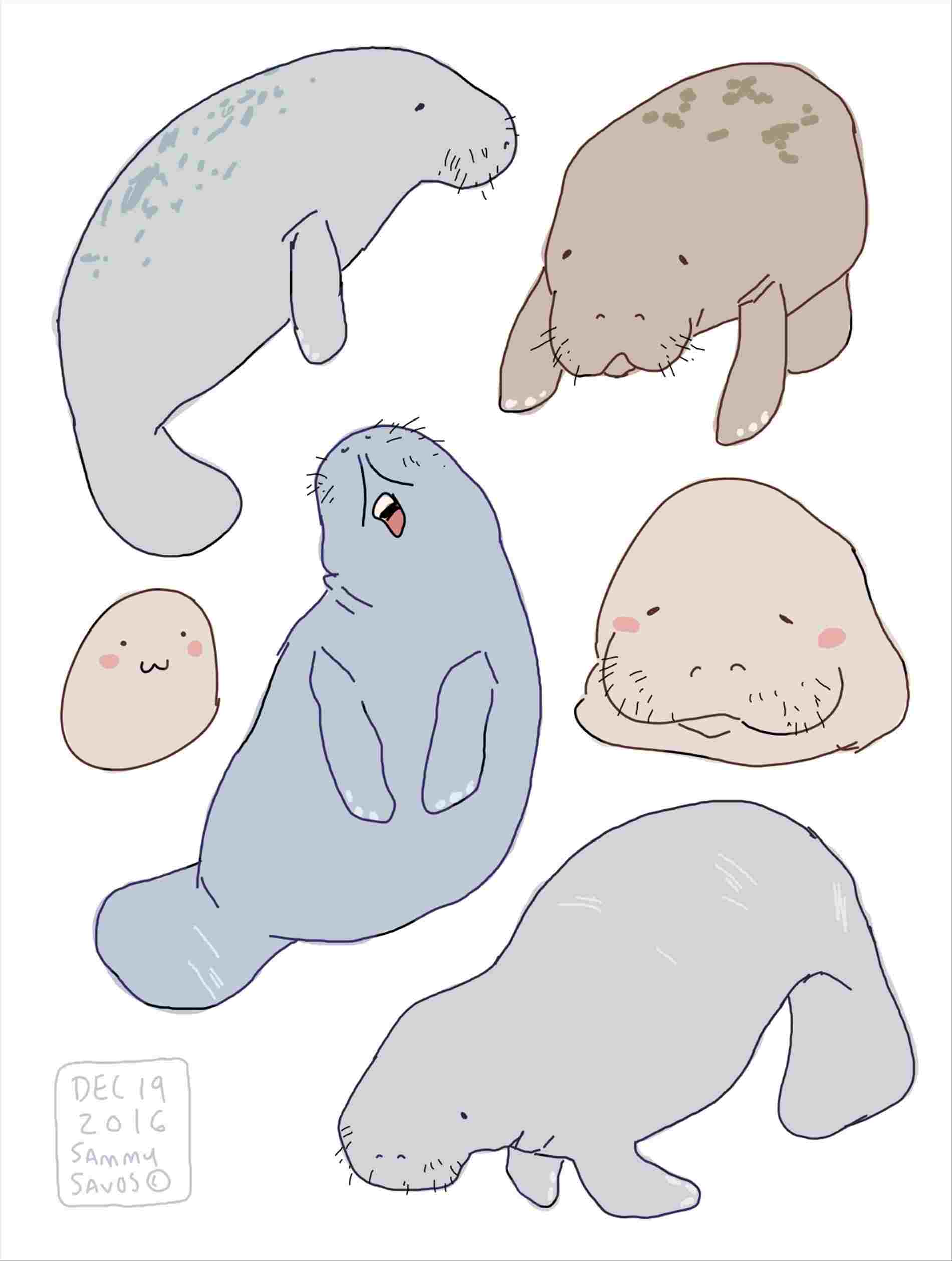 1900x2516 rhca s cute animal drawing ideas puppies dog - Cute Animal Drawing Ideas