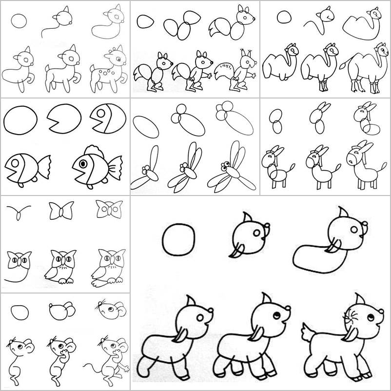 802x802 How To Draw Easy Animal Figures In Simple Steps - Cute Animal Drawings Step By Step