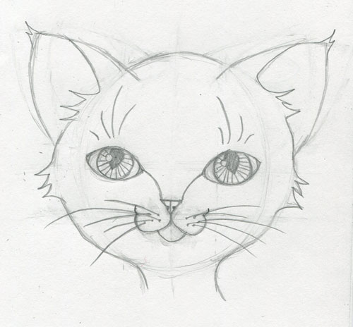 500x464 a touch of whimsy learn how to draw a cute animal face step - Cute Animal Eyes Drawing