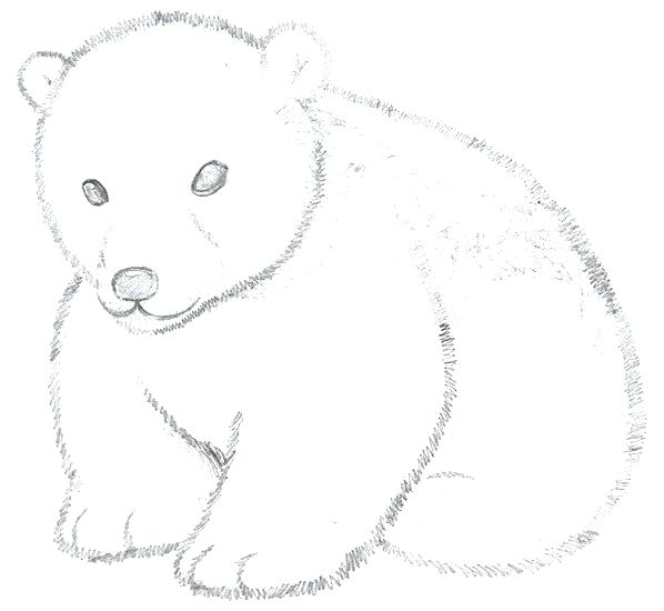 598x550 How To Draw A Cute Baby Polar Bear Polar Bear Cartoon How - Cute Baby Bear Drawing