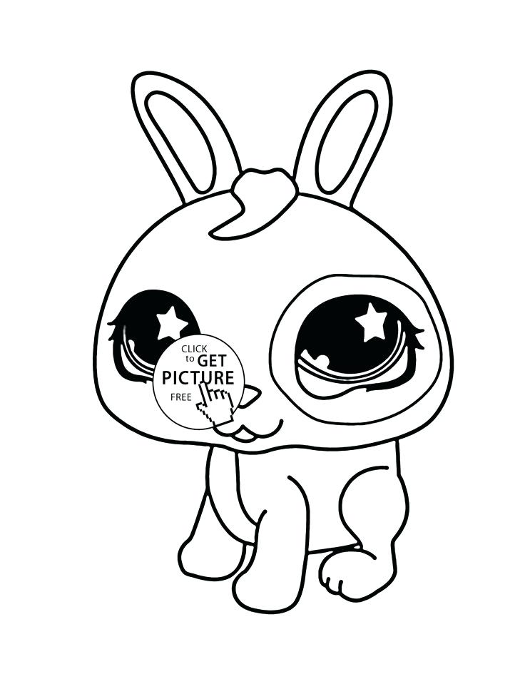 736x952 Cute Baby Bunny Drawing - Cute Baby Bunny Drawing
