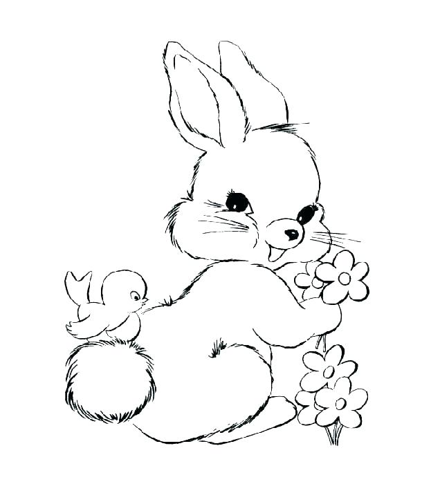 636x713 coloring pages of cute baby bunnies free collection of coloring - Cute Baby Bunny Drawing