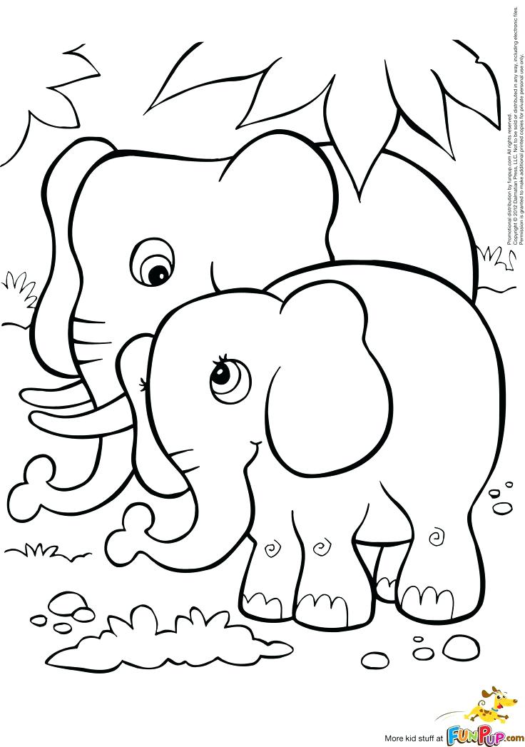 736x1047 cute baby elephant drawing for coloring colourful tumblr elephants - Cute Baby Drawing Pictures