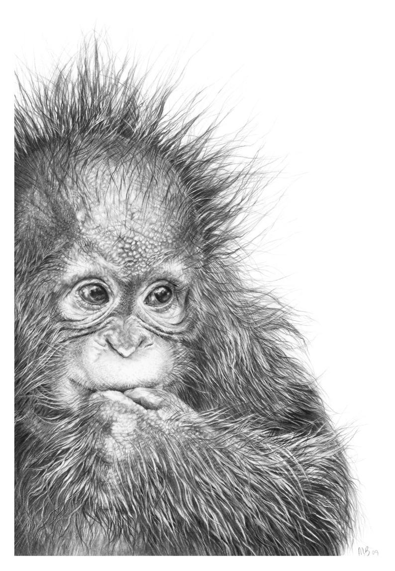 794x1147 cute baby orangutan orangutan art orangutan drawing etsy - Cute Baby Drawing Pictures