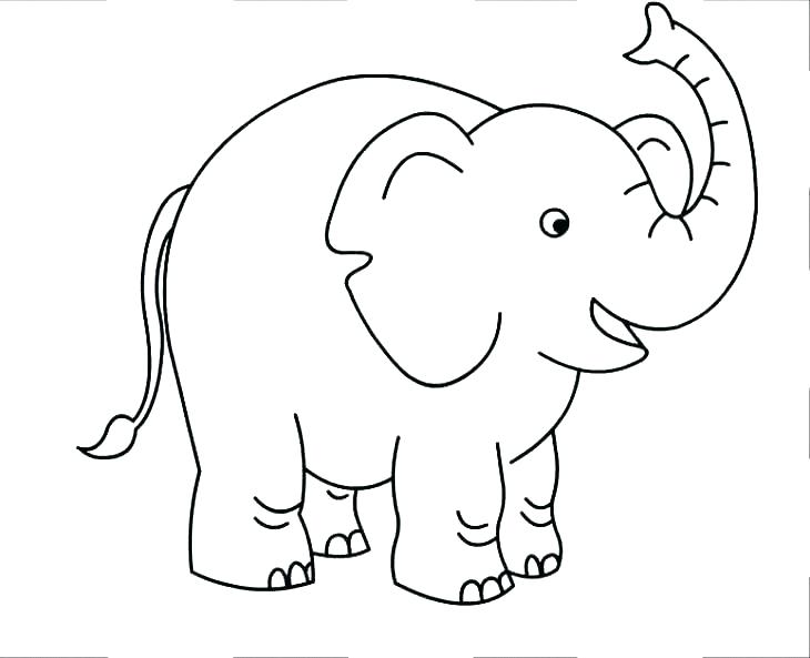 730x593 Cute Baby Elephant Coloring Pages - Cute Baby Elephant Cartoon Drawing