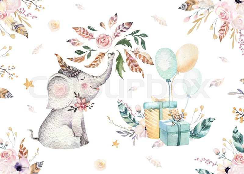 800x570 Cute Baby Elephant Nursery Animal Stock Photo Colourbox - Cute Baby Elephant Drawing