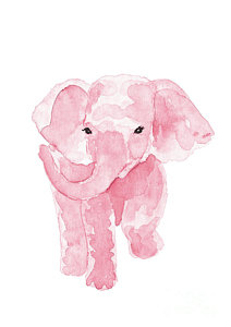 212x300 Baby Elephant Paintings Fine Art America - Cute Baby Elephant Drawing