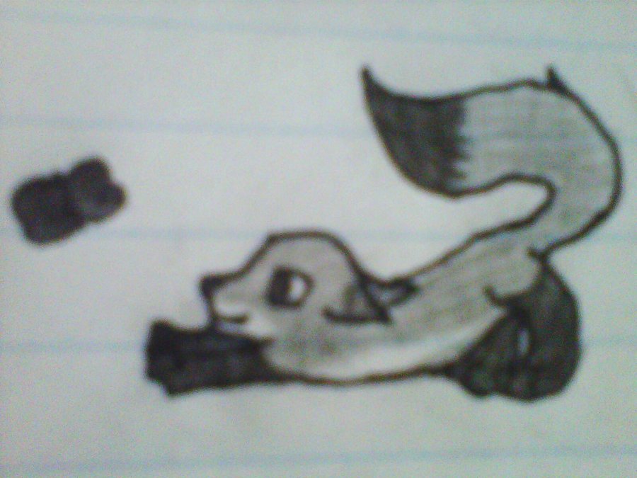 900x675 Photos Baby Fox Drawings - Cute Baby Fox Drawing