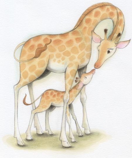 Cute Baby Giraffe Drawing at PaintingValley.com | Explore collection of