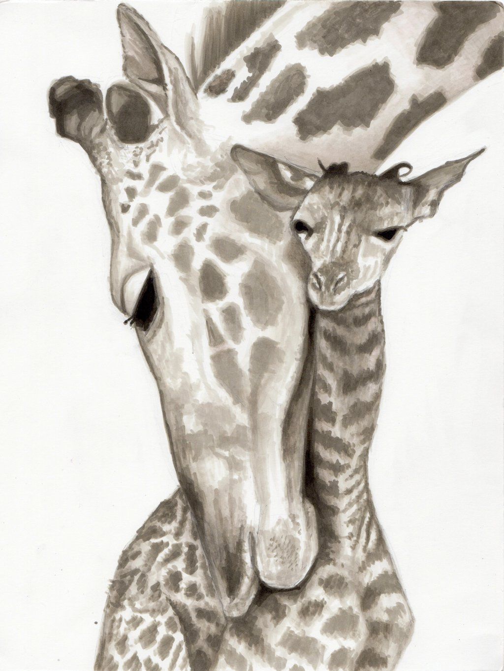Cute Baby Giraffe Drawing at Explore collection of