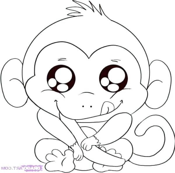 Cute Baby Monkey Drawings at PaintingValley.com | Explore collection of ...