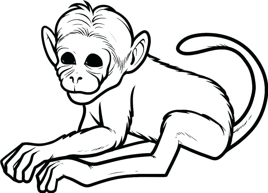 900x647 coloring cute baby monkey coloring pages rocket monkeys to color - Cute Baby Monkey Drawings